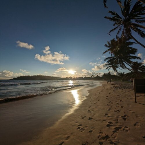Southern-coast sunset with beach cafés and coconut groves